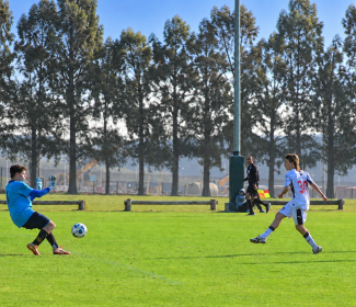 futbol